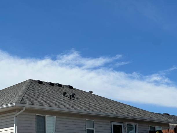 Best Green or Eco-Friendly Roofing Solutions  in Lathrup Village, MI